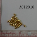 ACI2918