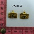 ACI2919