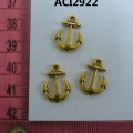 ACI2922