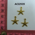 ACI2939