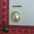 ACI2954