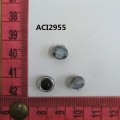 ACI2955