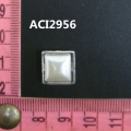 ACI2956