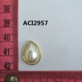 ACI2957