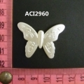 ACI2960