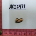 ACI2971