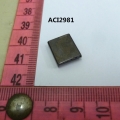 ACI2981