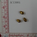 ACI3001