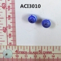 ACI3010