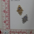 ACI3029
