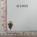 ACI3033