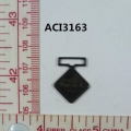 ACI3163