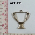 ACI3191