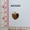 ACI3263