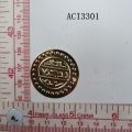 ACI3301