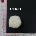 ACI3403
