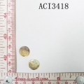 ACI3418