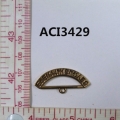 ACI3429