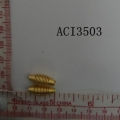 ACI3503