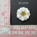 ACI3570