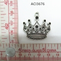 ACI3676