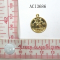 ACI3686