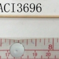 ACI3696