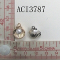 ACI3787