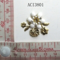 ACI3801