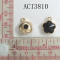 ACI3810