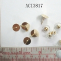 ACI3817