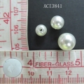 ACI3841