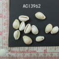 ACI3962