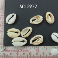 ACI3972