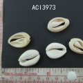 ACI3973