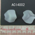 ACI4002