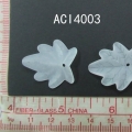 ACI4003