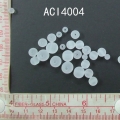 ACI4004