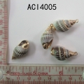 ACI4005