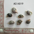 ACI4019