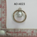 ACI4023
