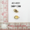 ACI4051