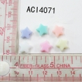 ACI4071
