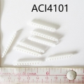 ACI4101