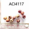 ACI4117