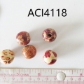 ACI4118