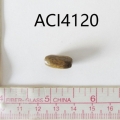ACI4120
