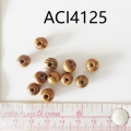 ACI4125