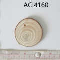 ACI4160