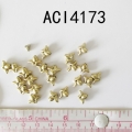 ACI4173